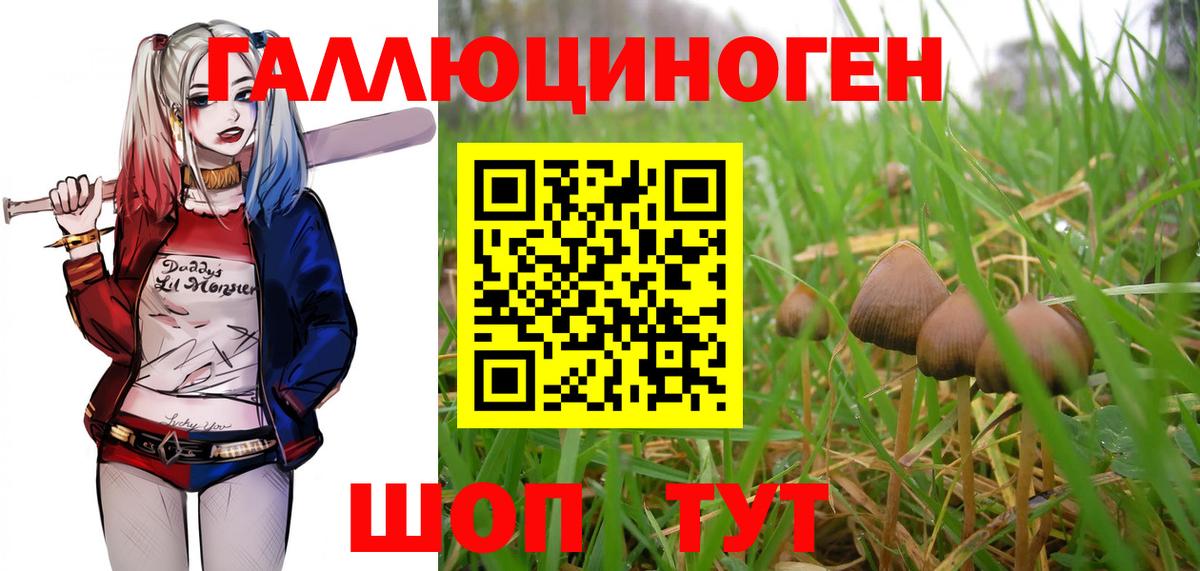 Качканар  Псилоцибиновые грибы Magic Shrooms  Вход с VPN  Галлюциногенные грибы Psilocybe 