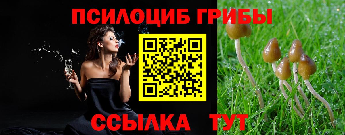 Псилоцибиновые грибы мухоморы Качканар