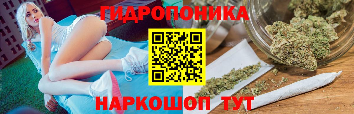 Каннабис конопля  Вход с VPN  Марихуана марихуана  Качканар 